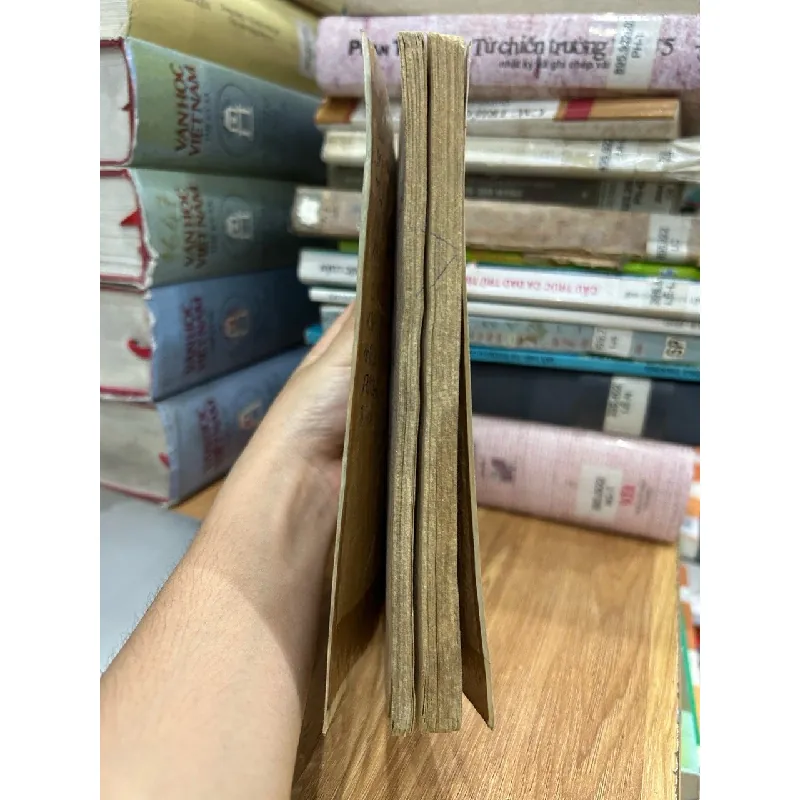Cửu Trùng Đồ (Tập 2) – Ngoạ Long Sinh 592621