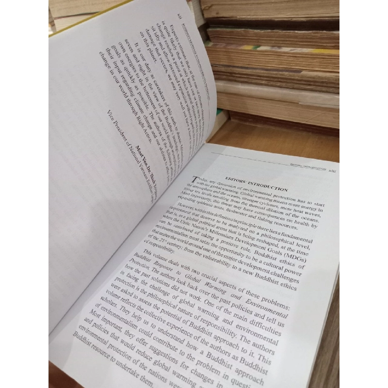 Buddhist Response to Environmental Protection - Vietnam Buddhist University Series 22 1019392