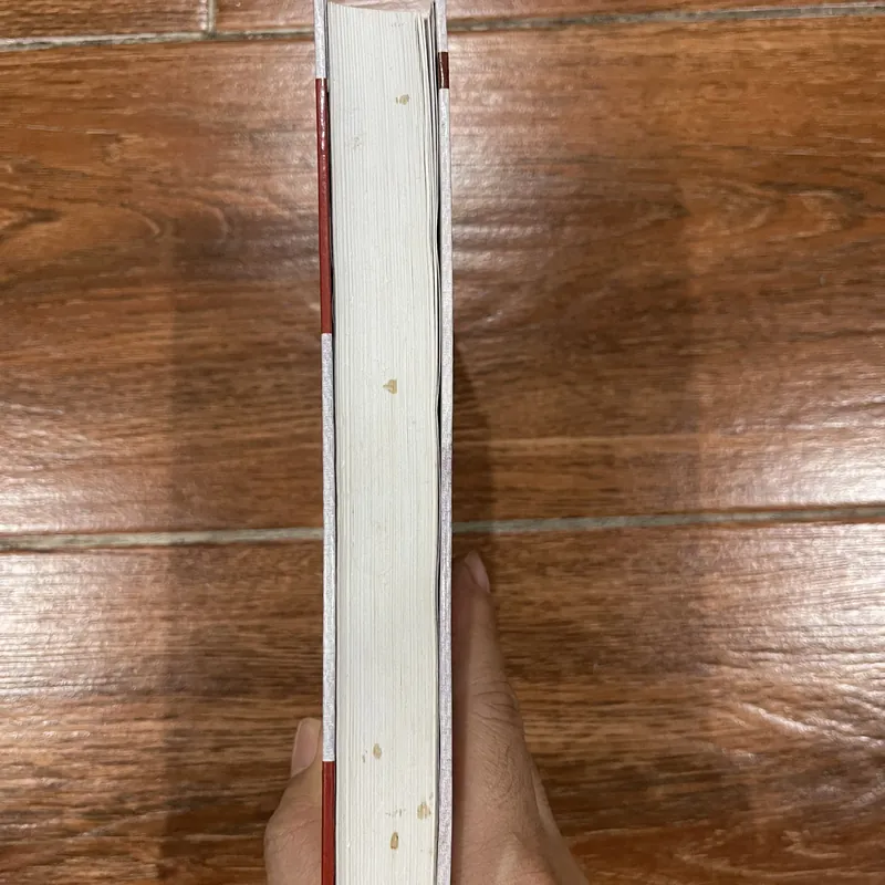 Cuộc đời của luận sư RAJNEESH CHANDRA (6) 715337