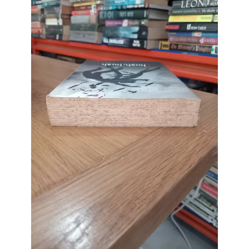 Hush, hush - Becca Fitzpatrick 504502