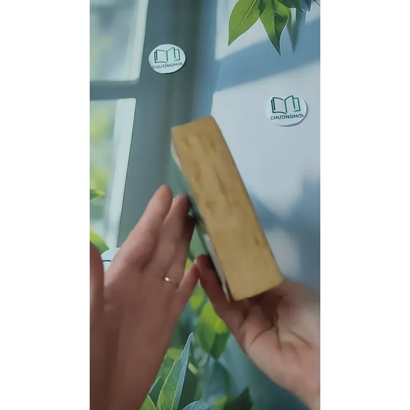 My Sister's Keeper - Jodi Picoult 1027518