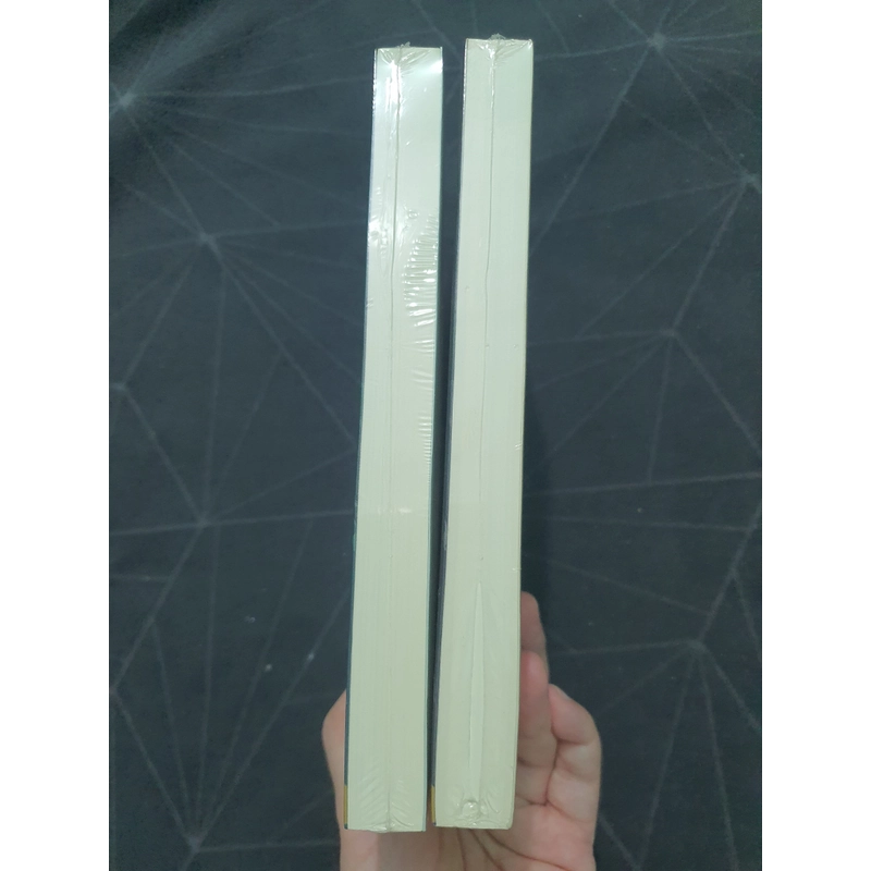 Combo "Dạ lữ nhân" 2 tập (seal đẹp) - Triệu Hi Chi 476775