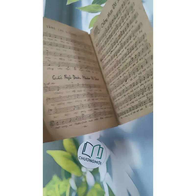 Những Truyện Tích Đầu Tiên Trong Kinh Thánh - Hội Thánh Tin Lành 775990