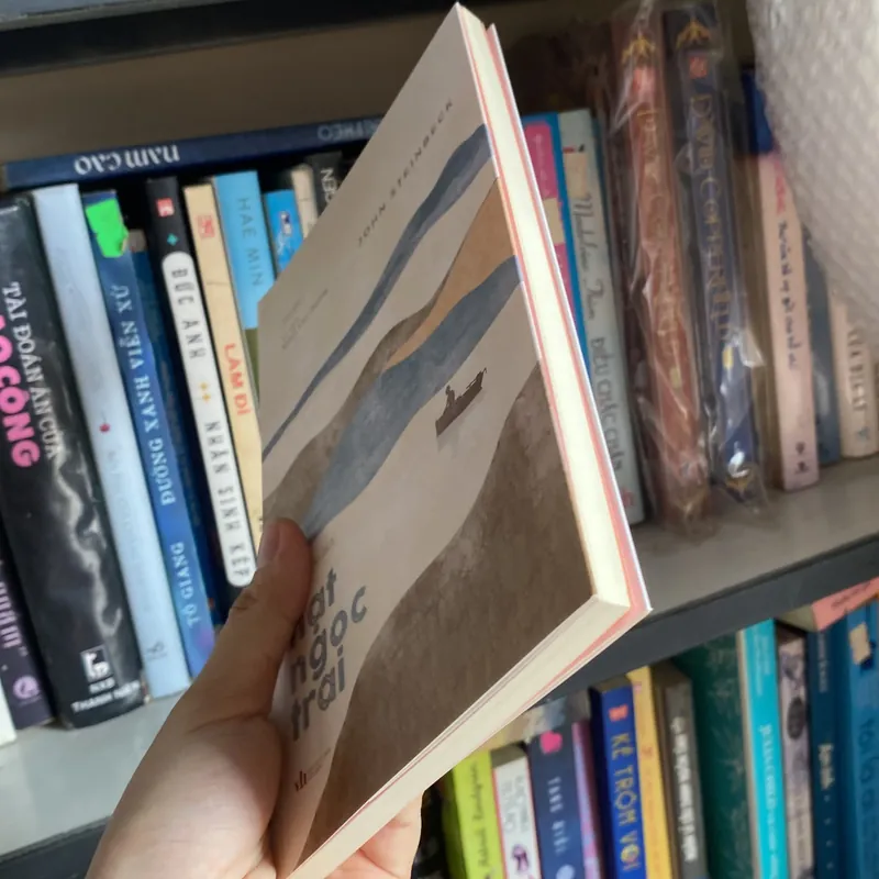 Hạt ngọc trai Tao Đàn  734372