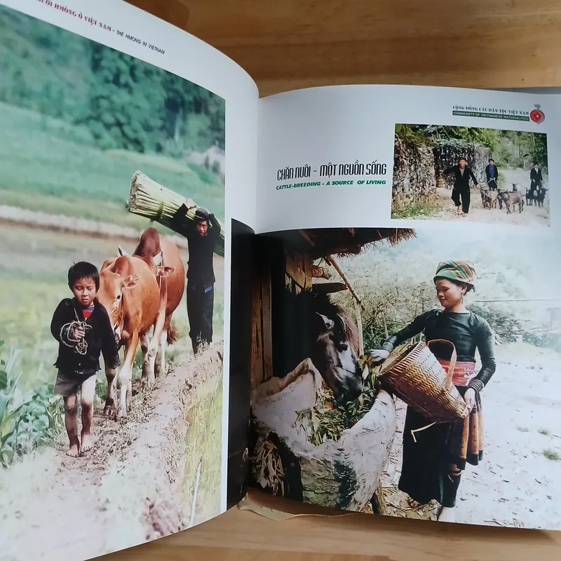 Người Hmông Ở Việt Nam - The Hmong In Viet Nam 607774