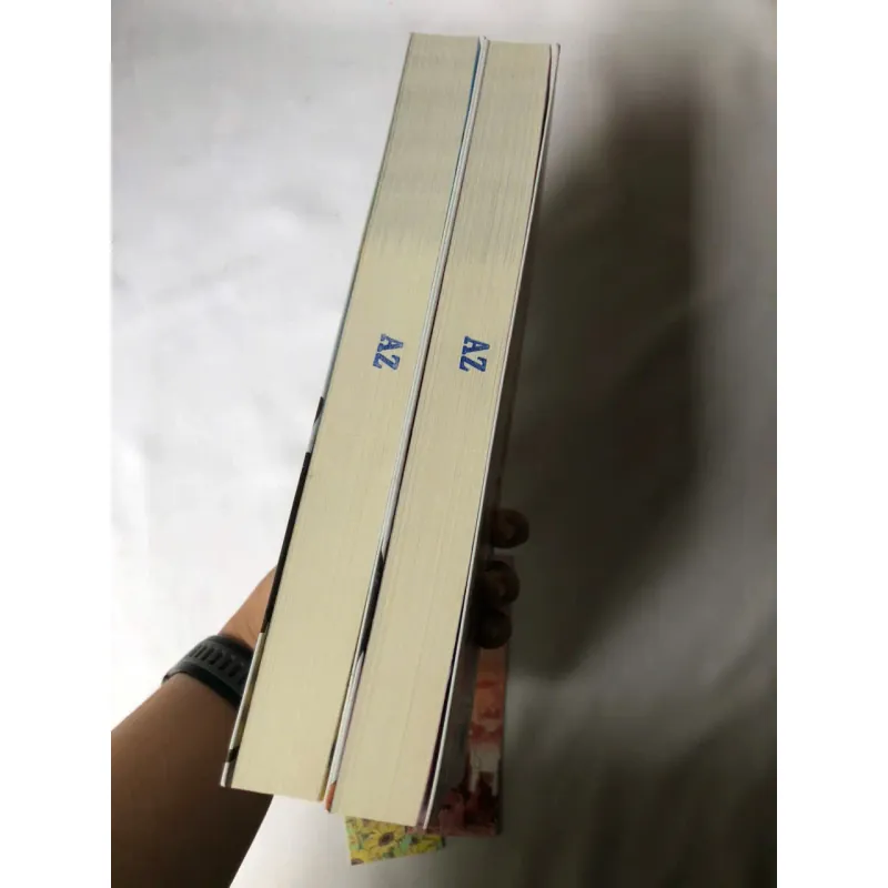 Lâu Rồi Không Gặp - Bắc Nam 746392