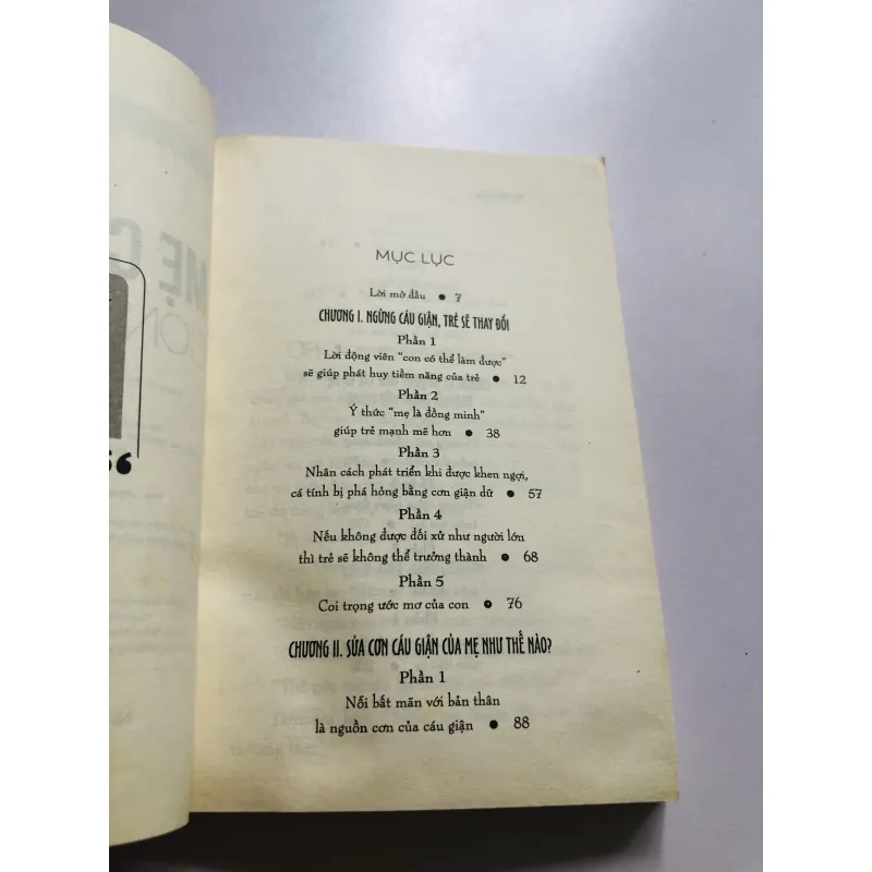MẸ CÁU GIẬN, CON HƯ HỎNG 749170