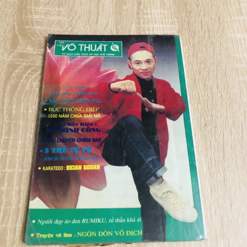 TÌM HIỂU VÕ THUẬT VỊNH XUÂN VÕ CÔNG 542164