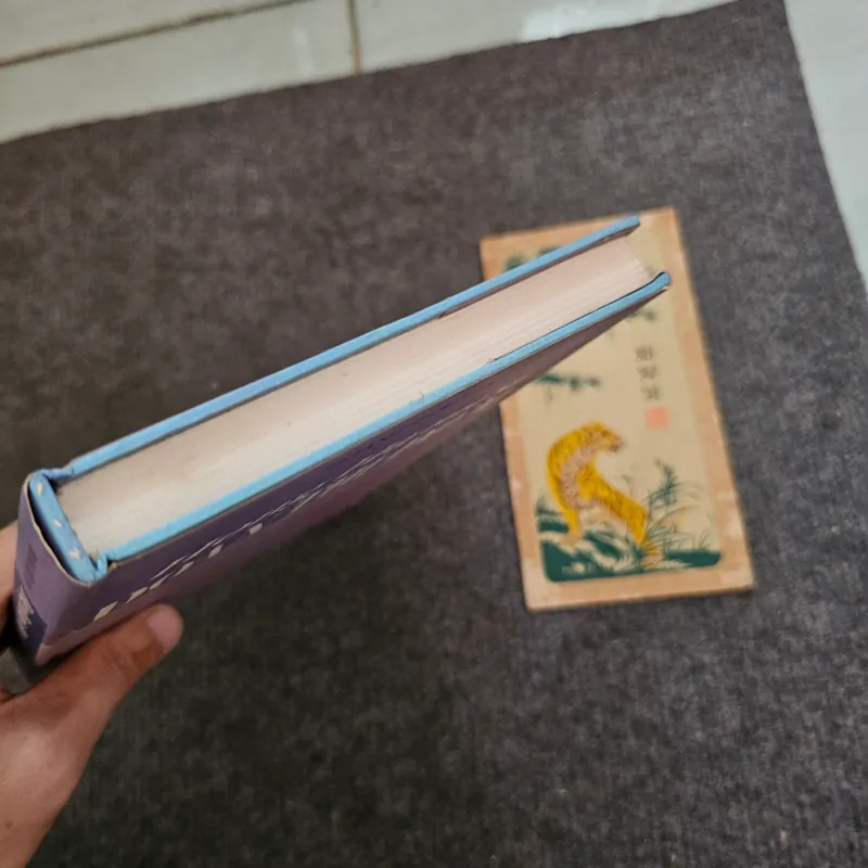 Hồng Hà nữ sĩ Đoàn Thị Điểm - bìa cứng 736893