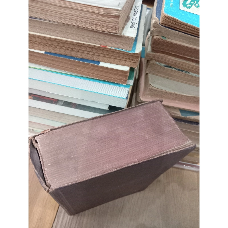 Dorland's illustrated Medical Dictionary 758700