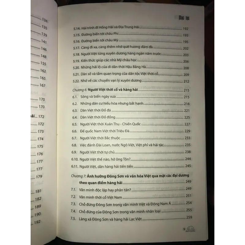 Văn hoá nước và hàng hải thời cổ của Việt Nam  706227