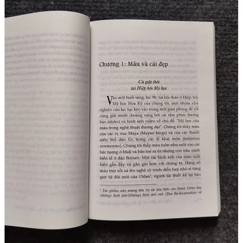 Một đề dẫn về lý thuyết nghệ thuật của tác giả Cynthia Freeland,  1023145