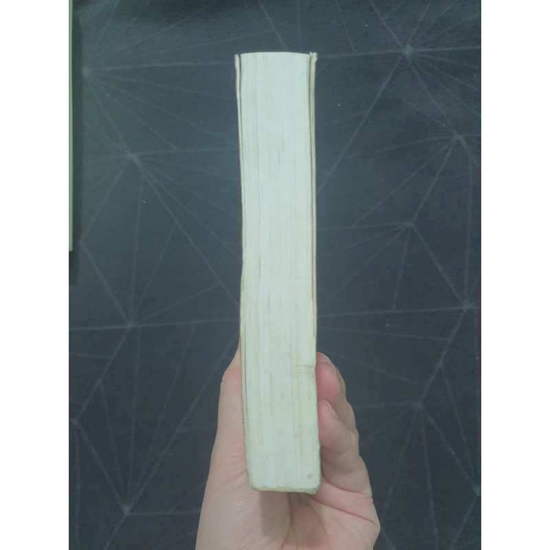 "Câu được con rùa vàng" - Không Hữu Cố Sự 496656
