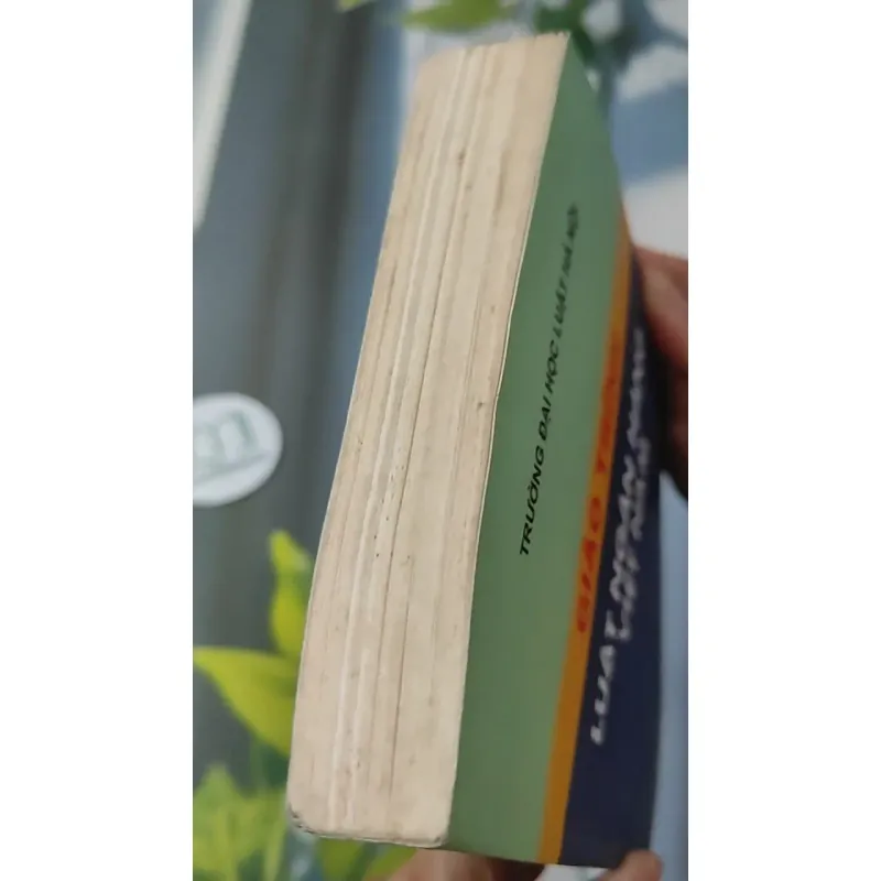 Giáo Trình Luật Ngân Hàng Việt Nam 727229