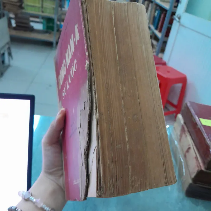 ĐÔNG NAM Á SỬ LƯỢC - NGUYỄN PHÚT TẤN 778650