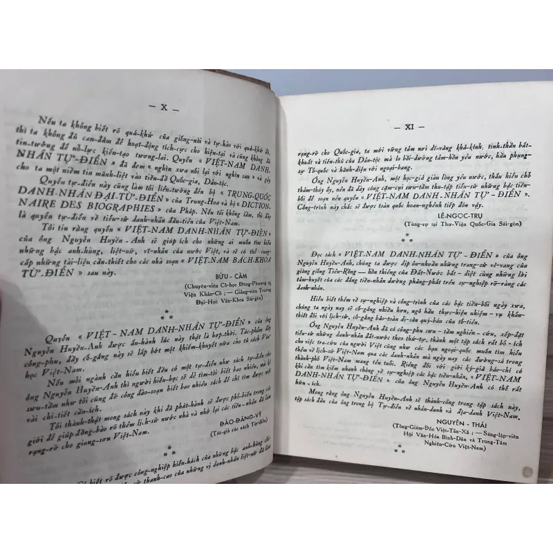 VIỆT NAM DANH NHÂN TỰ ĐIỂN - NGUYỄN HUYỀN ANH 995480