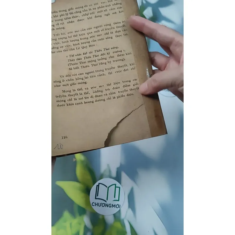 [XƯA] Mộng Du - Huyền Thoại & Hiện Thực (1988) - Phạm Hổ 776011