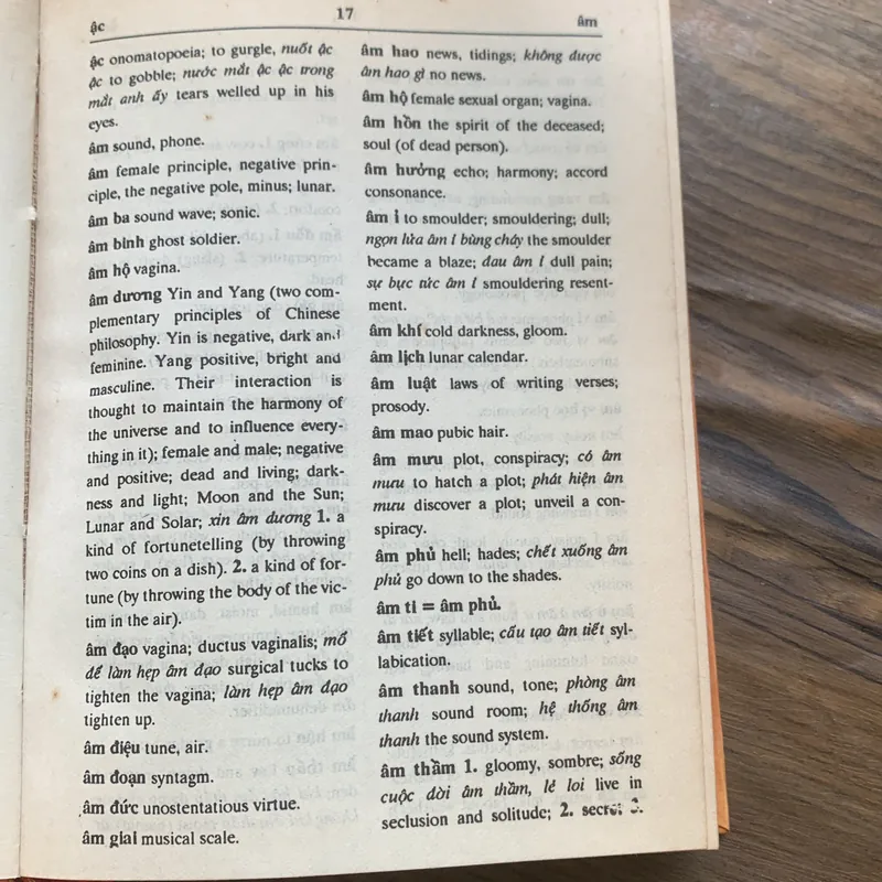 Từ điển Việt - Anh, VIETNAMESE ENGLISH DICTIONARY 25.000 words 715108