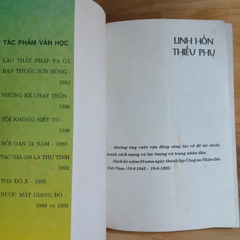 Tiểu Thuyết Linh Hồn Thiếu Phụ - Trần Tử Văn 603831