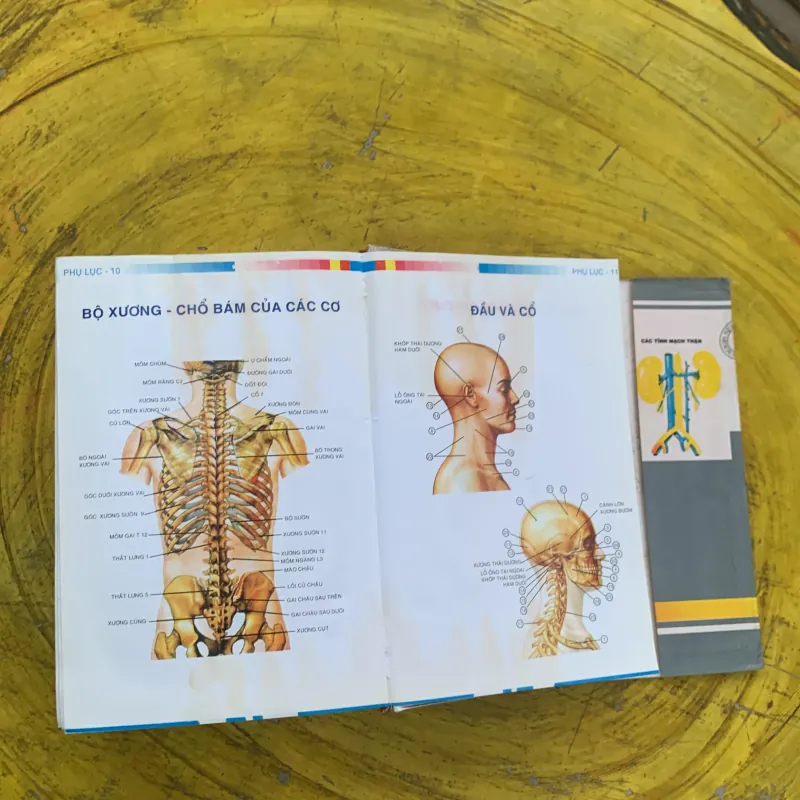 TỪ ĐIỂN Y HỌC ANH - VIỆT  nhà xuất bản từ điển Bách Khoa 790404