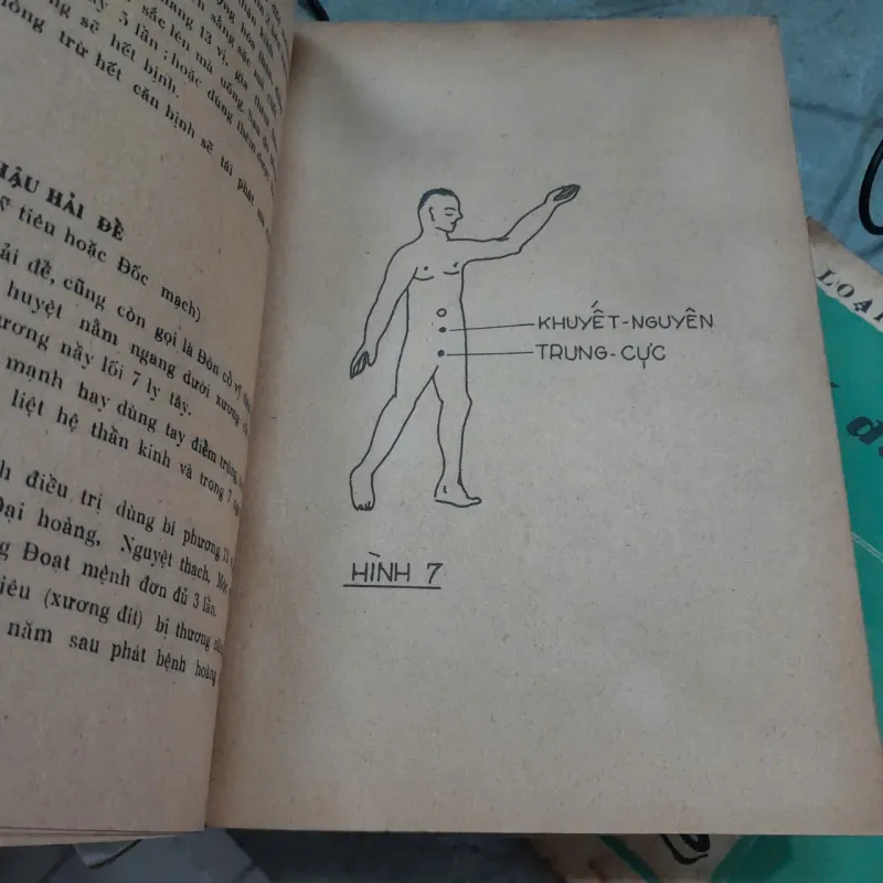 ĐIỂM HUYỆT CHÂN TRUYỀN ĐỒ GIẢI - NAM ANH 748349