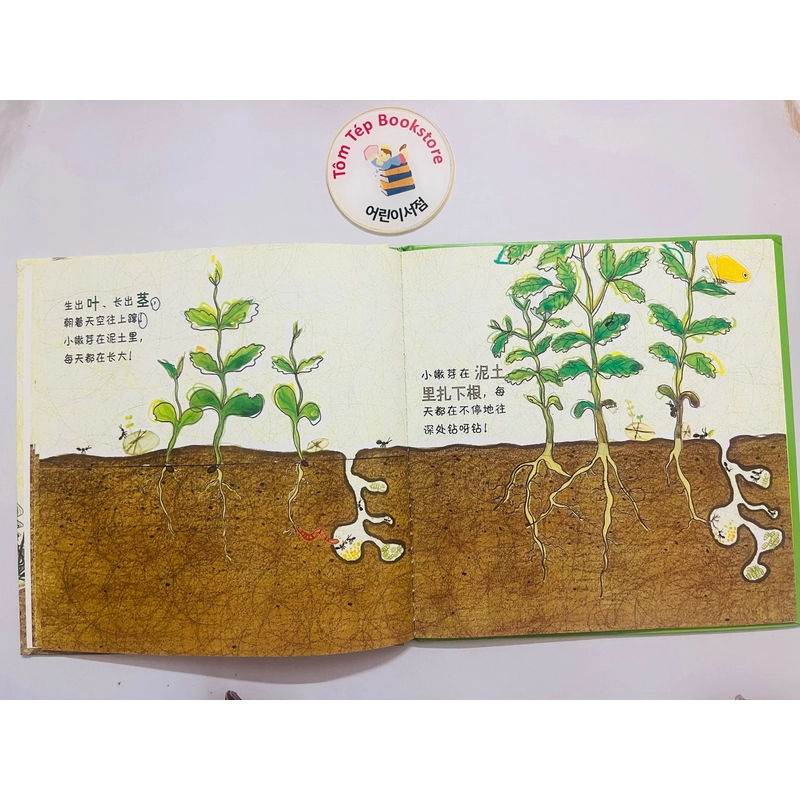Picturebook bìa cứng tiếng Trung- chủ đề tự nhiên 466257