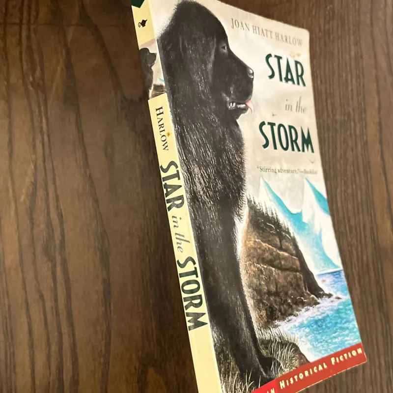 ✨𝑺𝒕𝒂𝒓 𝒊𝒏 𝒕𝒉𝒆 𝑺𝒕𝒐𝒓𝒎✨ 713511