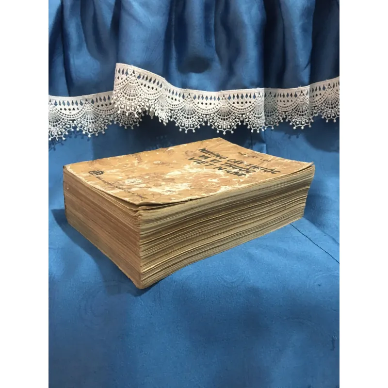 Những cây thuốc vị thuốc Việt Nam 958095