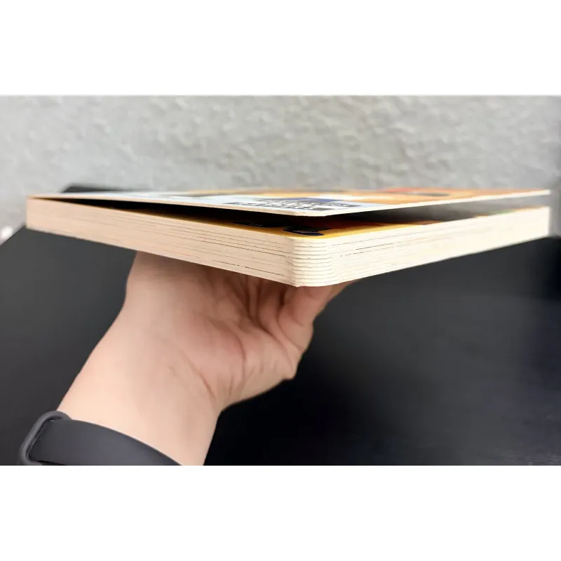 Board book The Story of Rap (Lịch sử nhạc Rap) 797187