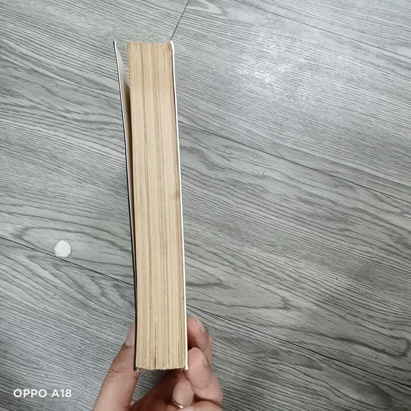 Mình Tâm Bảo Giám - Nguyễn Quốc Đoan 591582