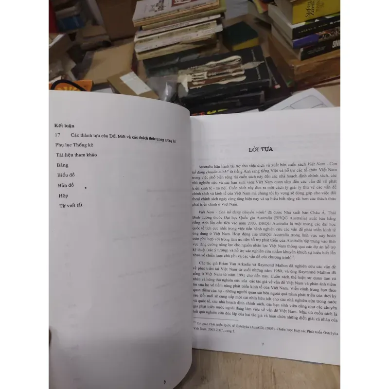 Sách: Việt Nam - con hổ đang chuyển mình - TG: Brian Van Arkadie & Raymond Mallon 932406