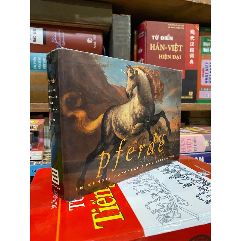 Pferde in Kunst, Fotografie und Literatur - Lorraine Harrison 926651