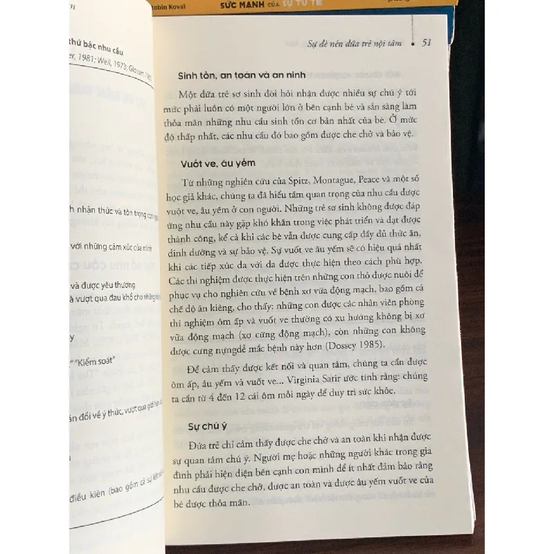 Chữa lành đứa trẻ bên trong bạn – Charles Whitfield 561479