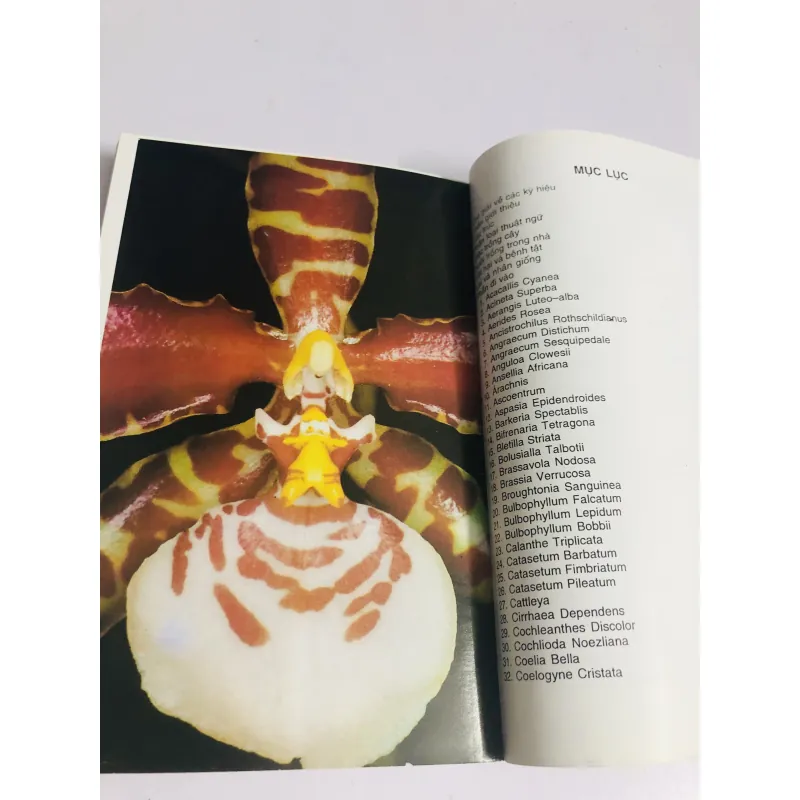 KỸ THUẬT NUÔI TRỒNG CẤY LAN 760013