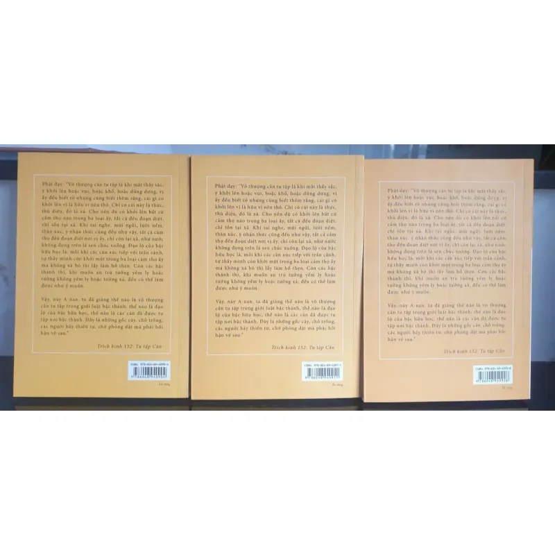 Bộ 3 tập Toát Yếu Kinh Trung Bộ - Thích Minh Châu mới 90% 680719