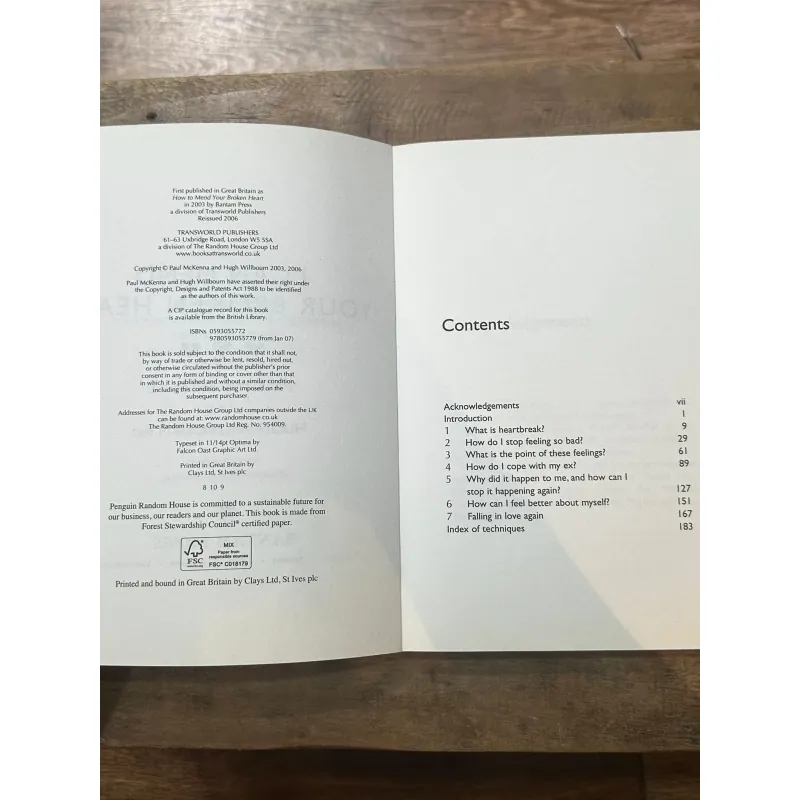 I Can Mend Your Broken Heart - Paul McKenna & Hugh Willbourn 734644