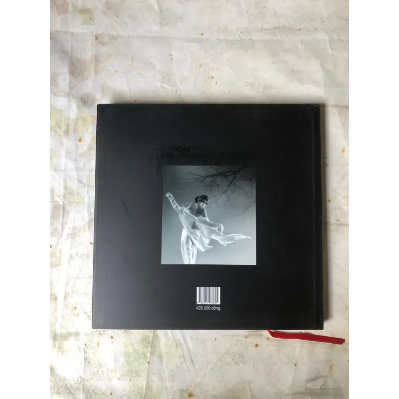 Artbook Mùa Nắng Phai - Nguyễn Quốc Dũng 736204