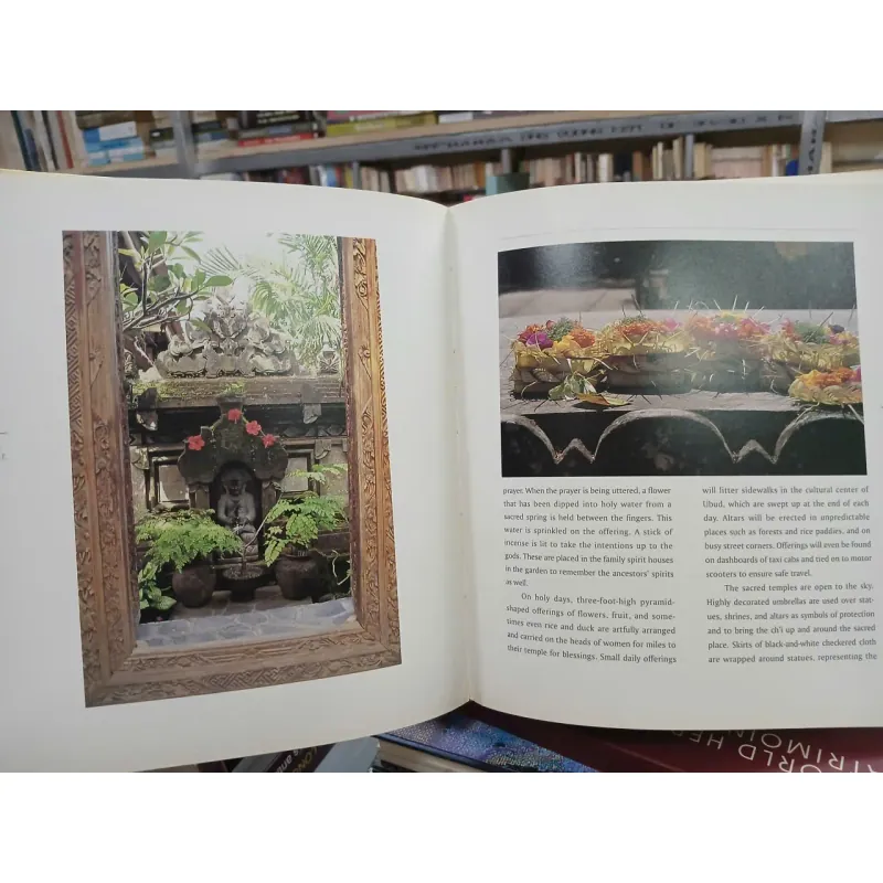 CULTIVATING SACRED SPACE (NUÔI DƯỠNG KHÔNG GIAN THÁNH THIỆN) 696924