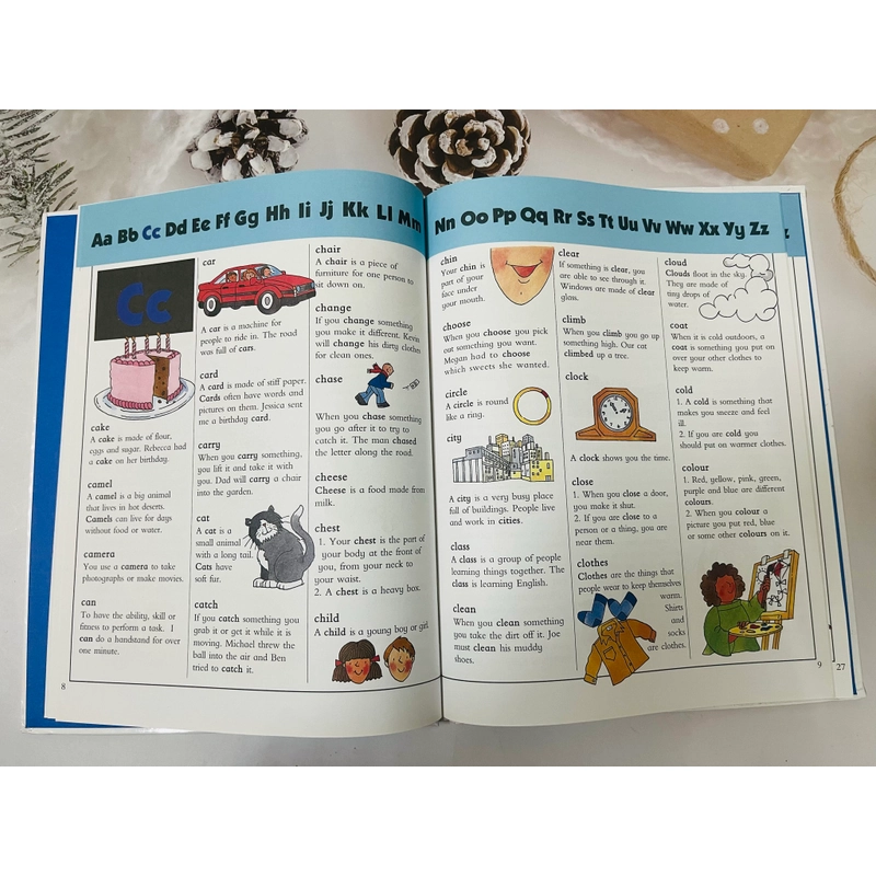 Young Learner’s First Dictionary 545228
