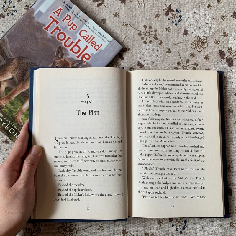 Sách ngoại văn A Pup Called Trouble, Used, Bìa cứng, Fiction For Young Adult 446629