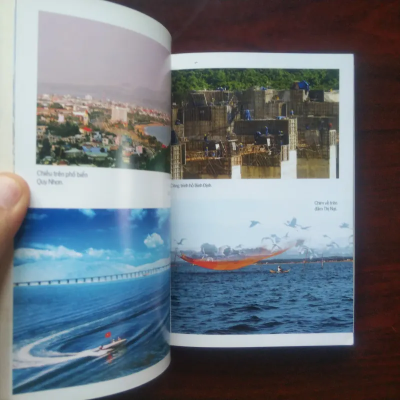 [Sách Văn Hóa] Bình Định - Đất Võ Trời Văn - Việt Nam Các Vùng Văn Hóa 994945