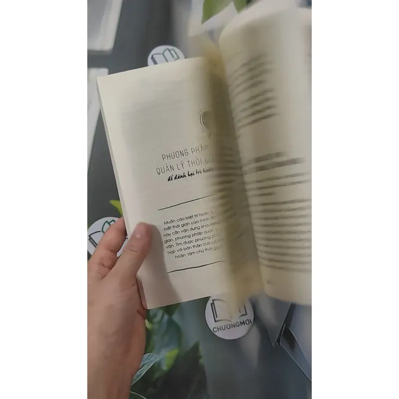 Tuổi Trẻ Không Trì Hoãn - Thần Cách 961254