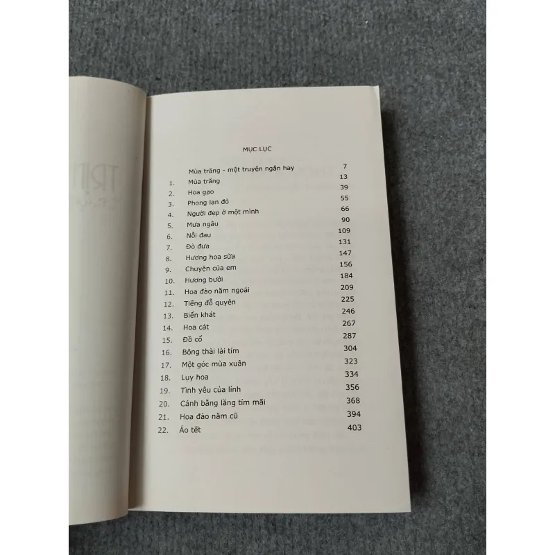 TRỊNH ĐÌNH KHÔI TRUYỆN NGẮN CHỌN LỌC 729300