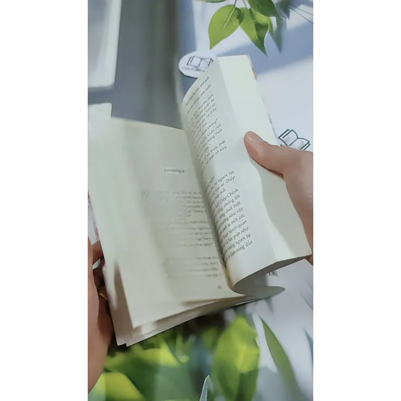 Động Phòng Hoa Chúc Cách Vách - Diệp Lạc Vô Tâm 744751