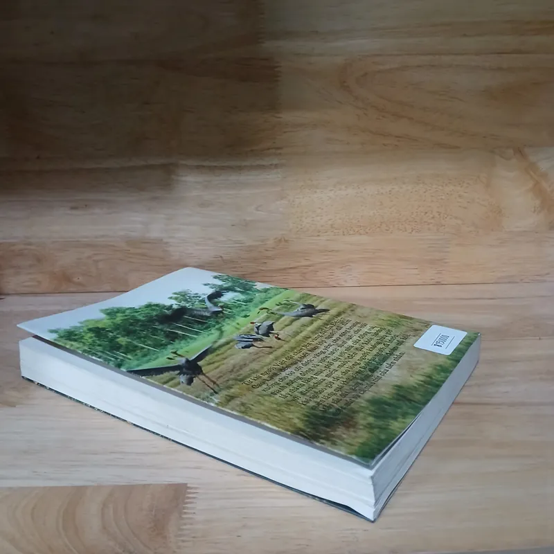 Đồng Tháp Đất & Người (Tập 2) 726581