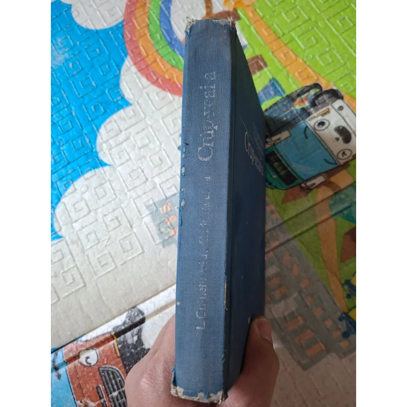 Crúp-xcai-a 1000290