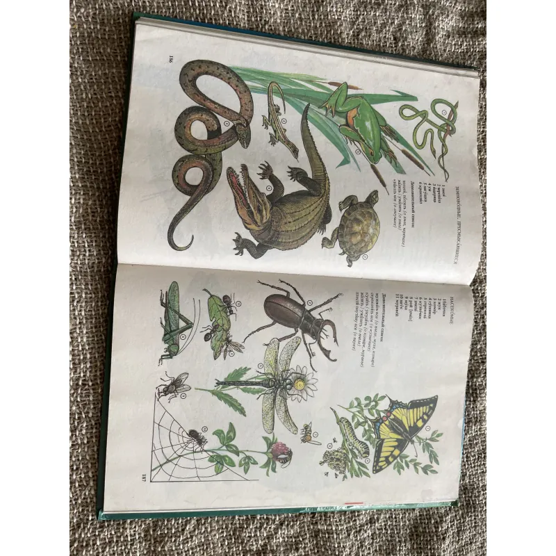 Иллюстрированный темотиЧеСкий-  словарь русского ЯЗЫКО- từ điển minh họa tiếng Nga  1003978