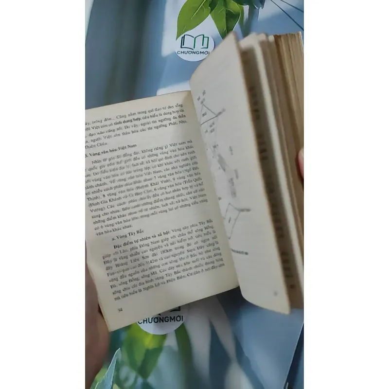 [XƯA] Cơ Sở Văn Hóa Việt Nam (1999) - Lê Văn Chưởng 928609