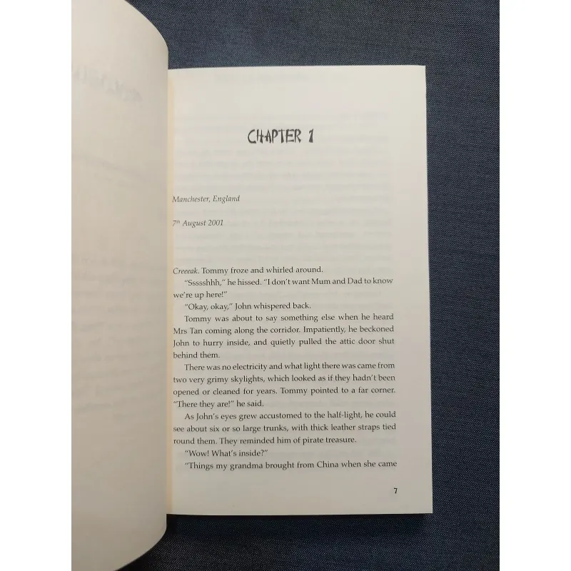 TOMMY TAN AND THE BOWL OF TIME 931179