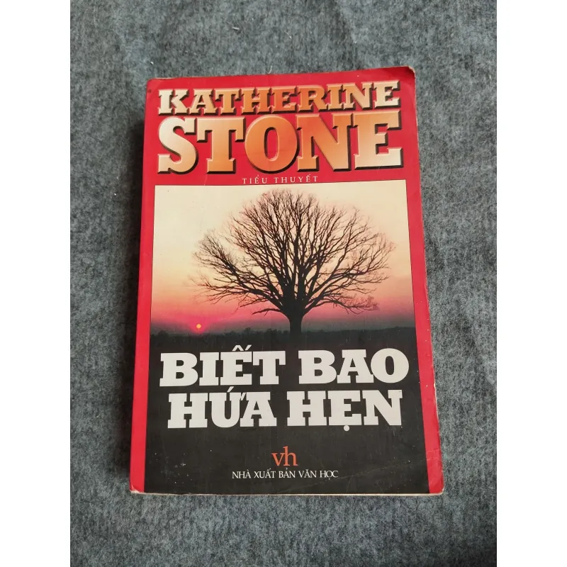 BIẾT BAO HỨA HẸN - KATHERINE STONE 574652